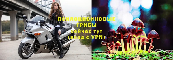 спиды Нефтегорск