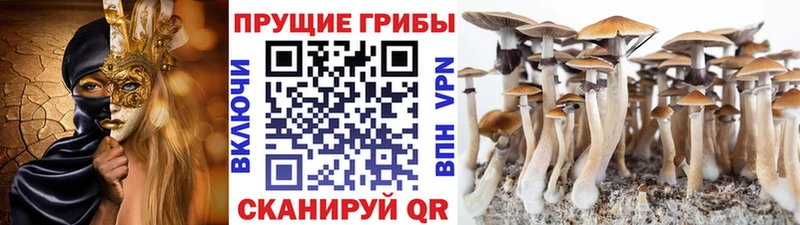 кракен как войти  Усинск  Галлюциногенные грибы ЛСД 
